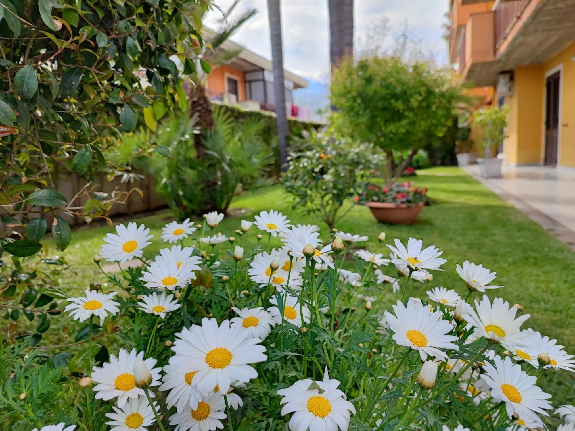 Maresole Tra L'Etna E Taormina Apartment Mascali Bagian luar foto