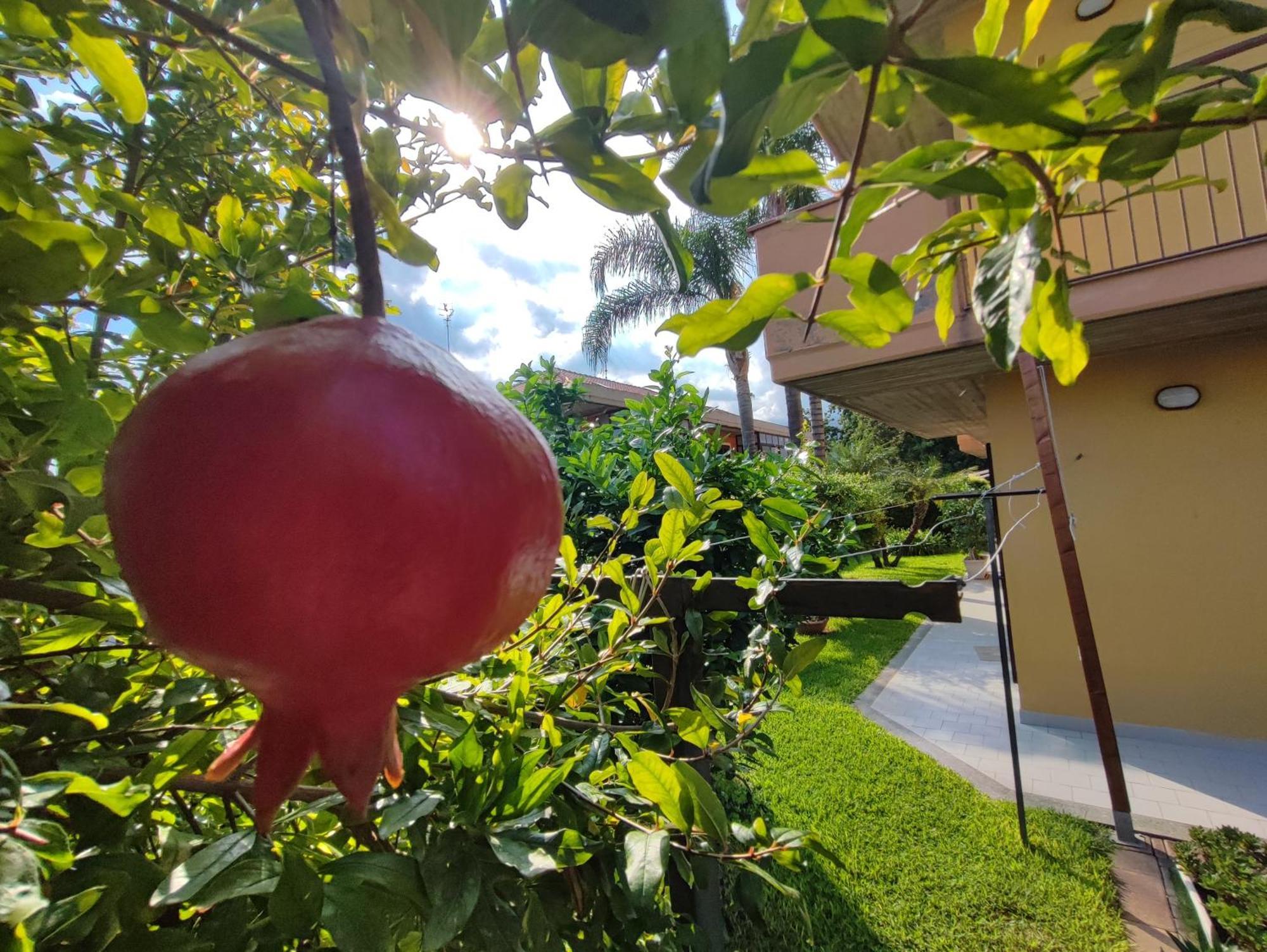 Maresole Tra L'Etna E Taormina Apartment Mascali Bagian luar foto